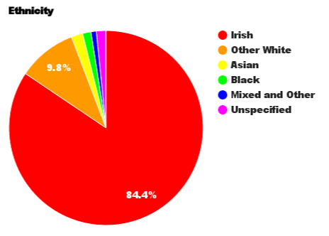 ethnic diversity in ireland